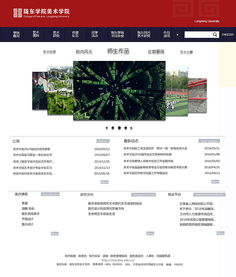 網(wǎng)站與網(wǎng)頁(yè)設(shè)計(jì) 構(gòu)建數(shù)字時(shí)代的視覺與功能橋梁
